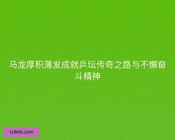 马龙厚积薄发成就乒坛传奇之路与不懈奋斗精神